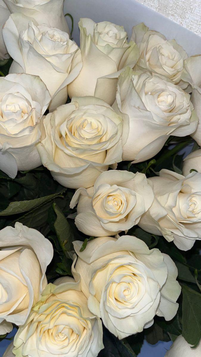 Secrets of Eden: Enchanting Floral Medley